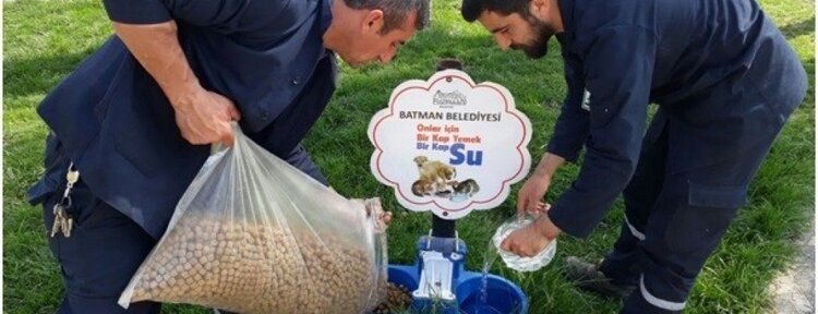 Belediyeden sokak hayvanlarına gıda takviyesi