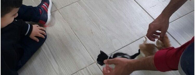 Özel öğrenciler hayvan bakımevini ziyaret etti