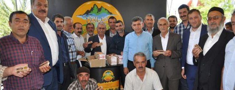 Batman’daki arıcılara 360 adet ana arı dağıtıldı