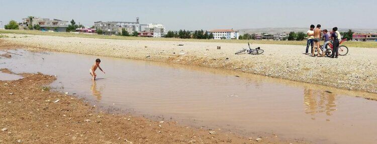 Tepkilere aldırmadan çamurlu suda yüzdüler