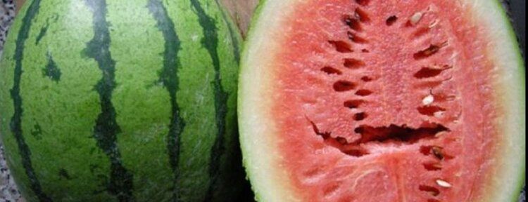 Karpuzun içindeki çatlak ne anlama geliyor?