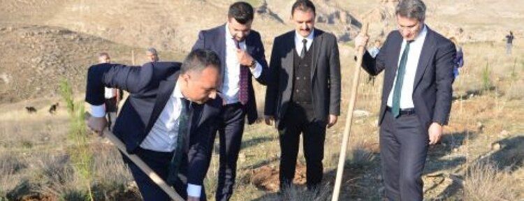 Her doğuma bir fidan