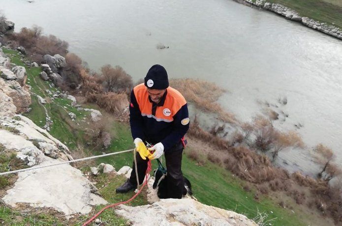 Uçurumda mahsur kalan keçi kurtarıldı