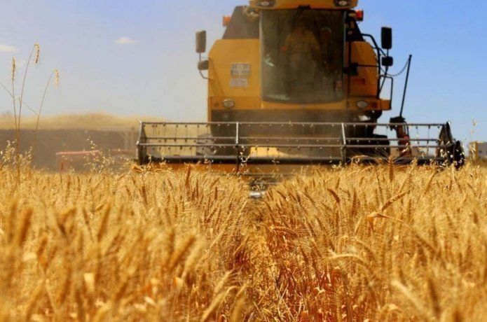 "Tarımsal üretim girdilerinde fiyatlar düşürülmeli"