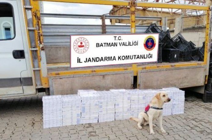 Tütün tespit köpeği buldu