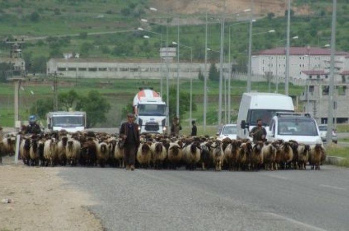 Göçerlerin zorlu Ramazan mesaisi
