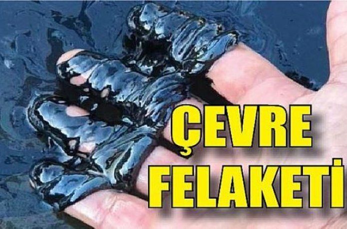 Çevre felaketi