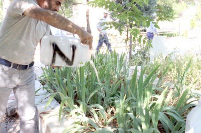Mezarlıklarda Çiçek ve Fidanların kurumasına karşı önlem