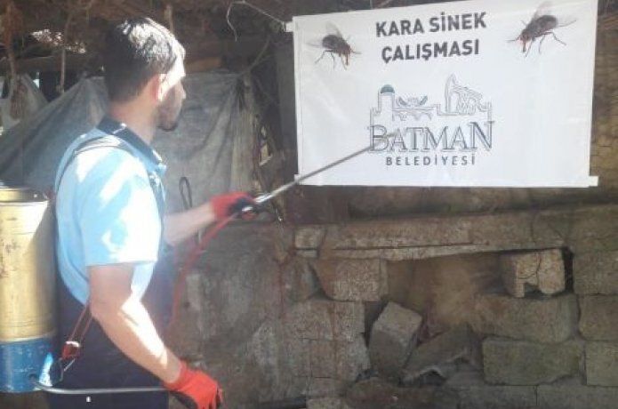 İlaçlama ekipleri gece gündüz sahada