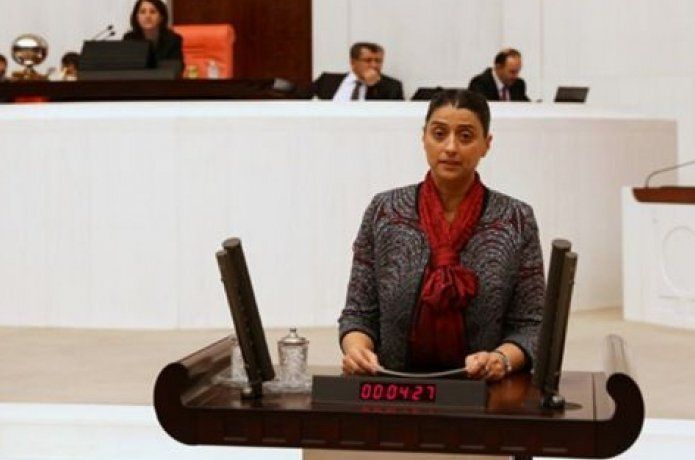 Nefroloji ve Onkoloji sorunu TBMM’de