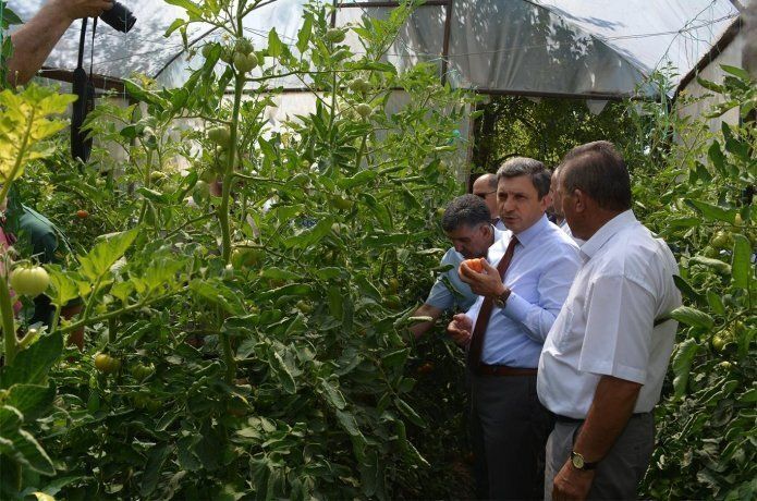 "Seracılık bu bölgede gittikçe gelişecektir"