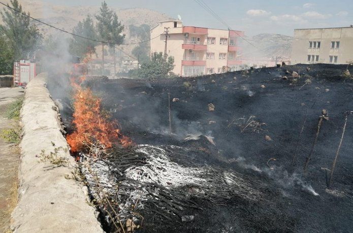 Mezarlık küle döndü