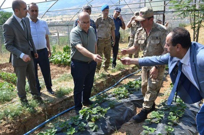 Kültür ve Turizm Bakan Yardımcısı Prof. Dr. Ahmet Haluk Dursun: