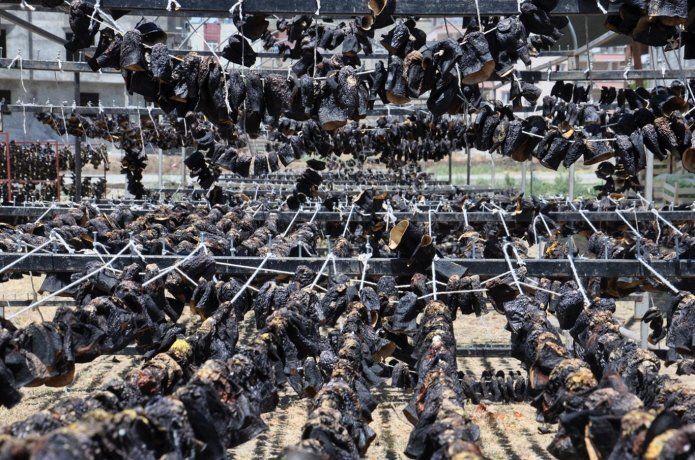 Zorluklarla hazırlanan kurutmalık Türkiye'nin her tarafına satılıyor