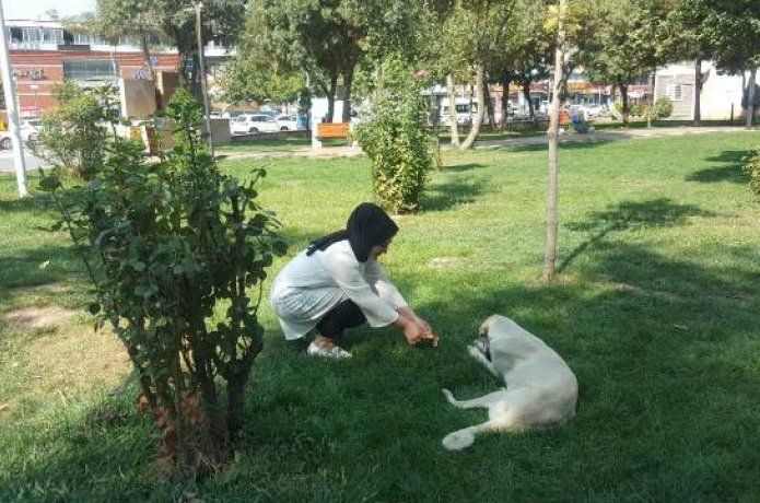 AK Partili kadınlardan Hayvanlar Günü hassasiyeti