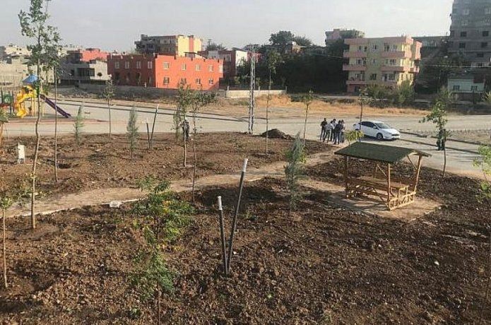 "Yeşil alan oranını artırıyoruz"