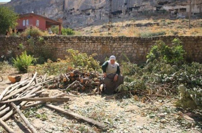 Ağaçlarını da keserek gitti