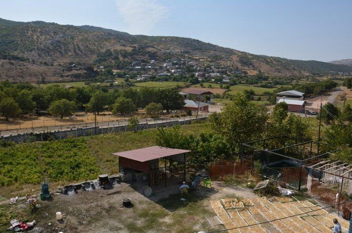 Şire üzümünün organik ürünlere dönüşümü