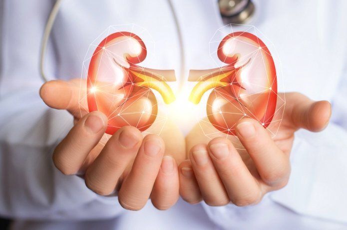 Organ bağışıyla ilgili doğru sanılan 10 yanlış!