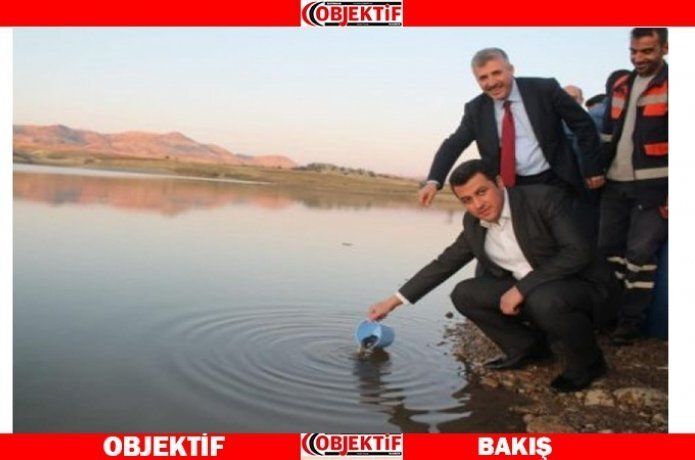 Kırkat Göleti'ne 10 bin sazan yavrusu