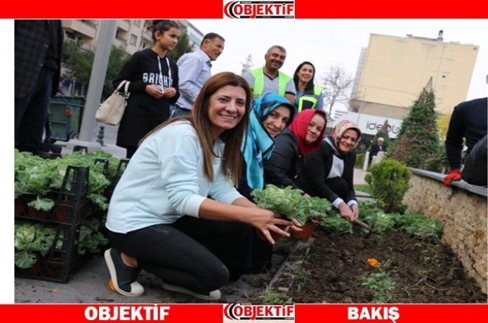 Kış mevsimi çiçek ekimi startı verildi