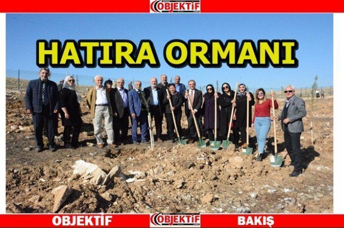 Emekliler Derneği'nden yeşile katkı