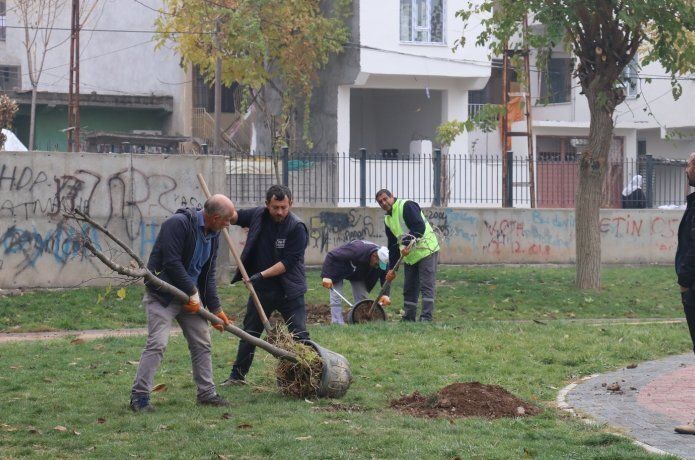 Cevizli parkına 250 adet ağaç dikildi