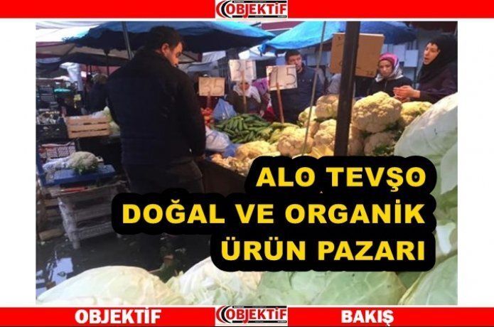 Alo Tevşo canlanıyor