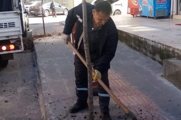 Ağaçsız kaldırım kalmayacak