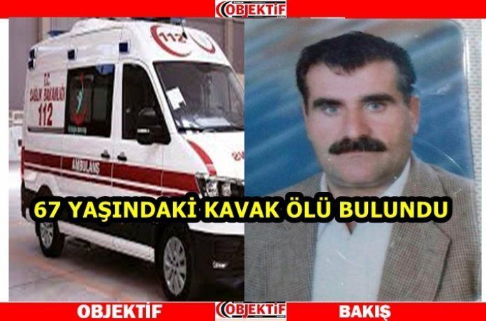 Evnde ölü bulundu