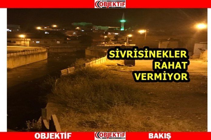 Vatandaşların ilaçlama talebi