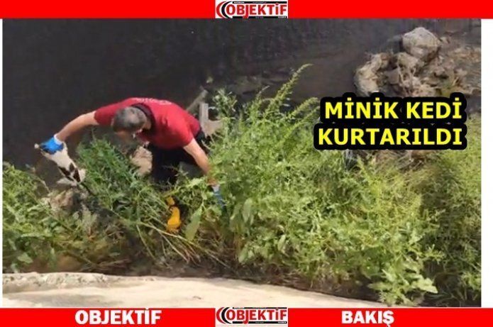 İtfaiyeciler minik kedi için seferber oldu