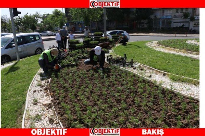 Refüjler çiçeklendirildi