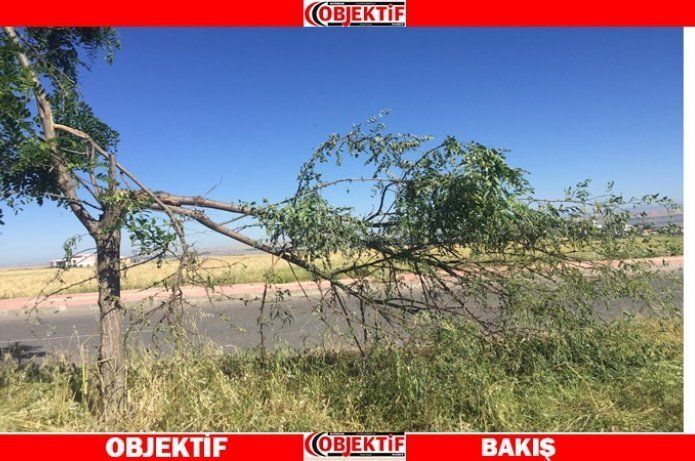 Üniversite ve Çevre Yolu orta refüjde görüntü kirliliği