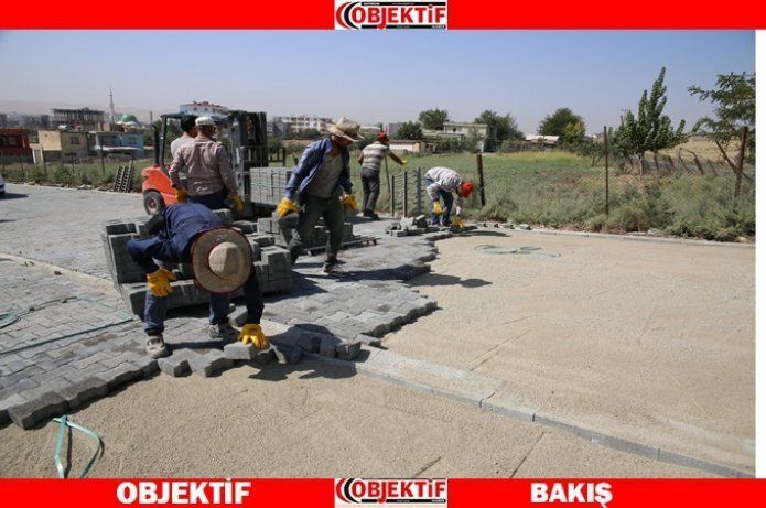 200 bin metrekare parke