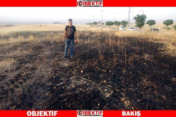 Batman'da buğday ekili alan yandı