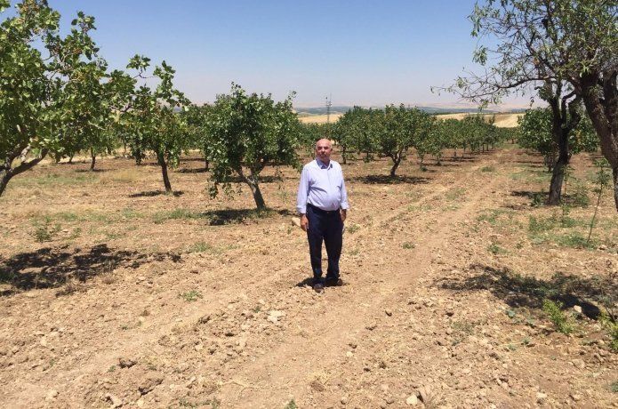 Naif Süleymanoğlu'nun toprakla 40 yıllık dostluğu