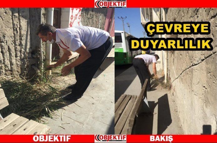 Çevreci şoför