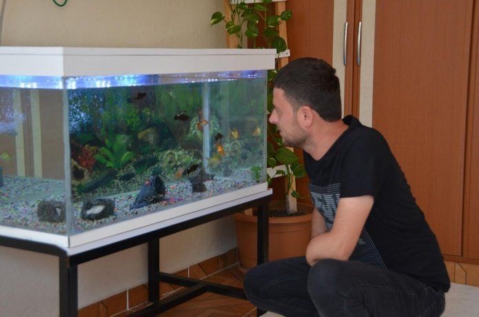 Kollarını kaybeden genç yetkililerden ve hayırseverlerden yardım bekliyor