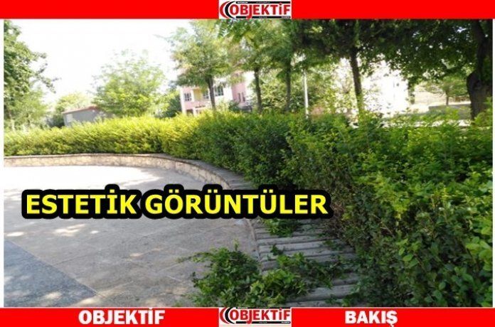 Park ve refüjlerdeki bitkilere şekil veriliyor