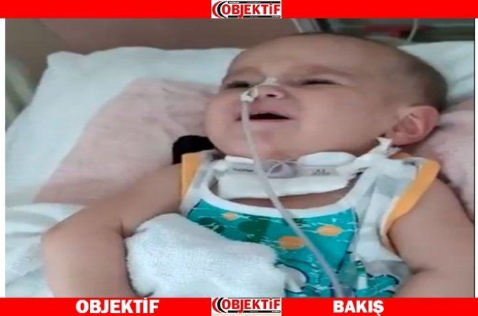 Ali bebek Ankara’ya götürüldü