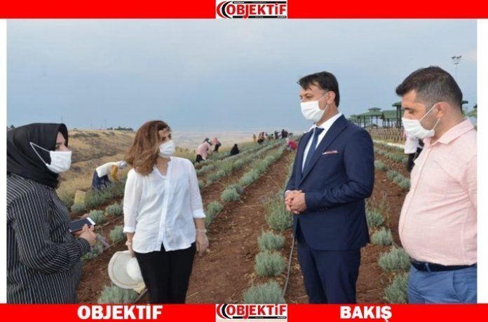 ÇATOM kadınlari ilk kez lavantayla buluştu