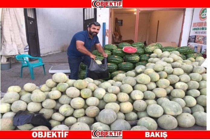 Cefan kavunu bereketi