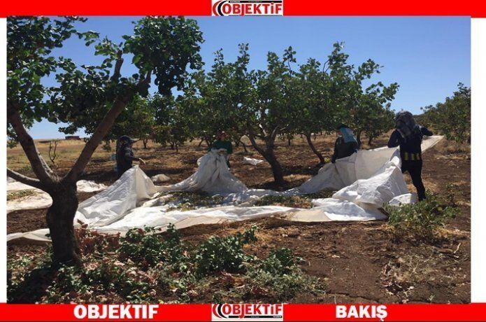 40 derece sıcakta çalışıyorlar