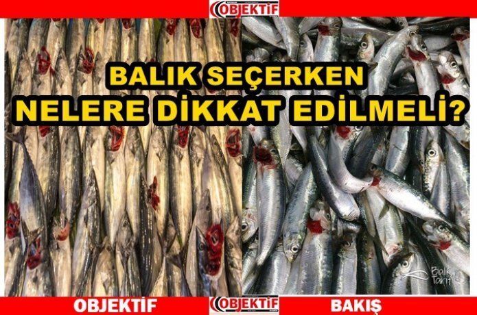 Lezzetli balık pişirme kuralları
