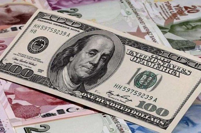 Döviz kurları güne rekorla başladı