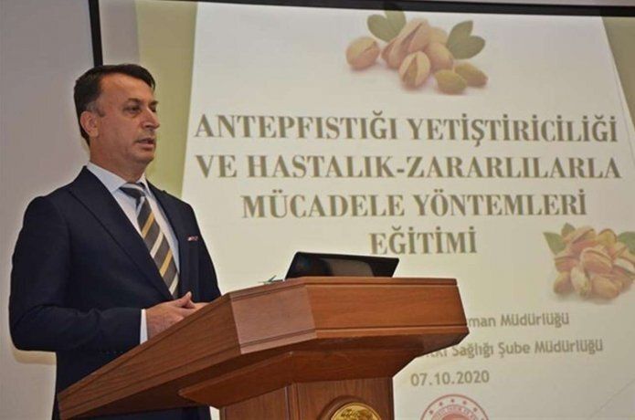 İlimizde fıstık yetiştiriciliği çok yaygınlaştı