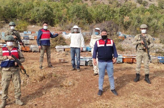 Çalınan arı kovanları bulundu
