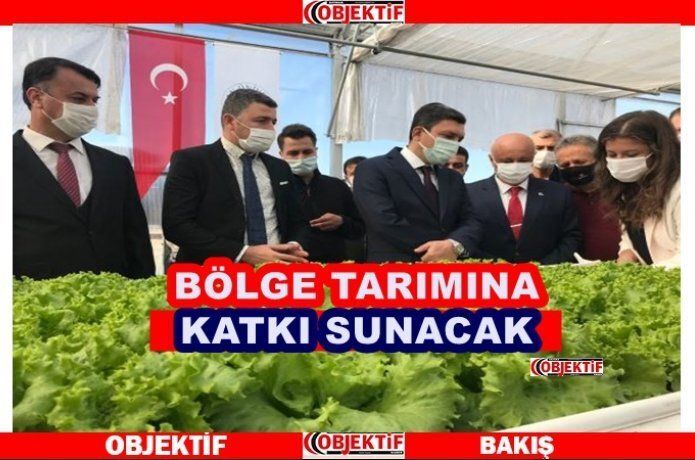 “Topraksız Tarım Serası”