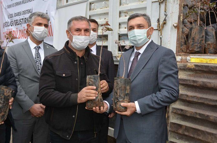 Batman Valisi Şahin, ilgi nedeniyle fıstıkta Siirt’i yakalayacaklarını söyledi
